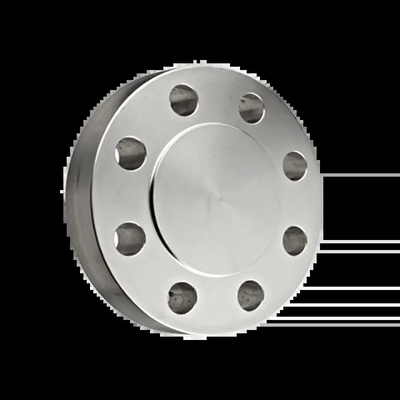 ASME B16.47 シリーズA 300級 ブラインドフレンズ