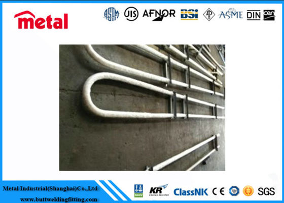 SCH 80 Seamless U-Bending Pipe T11 T12 A213 SA213 for High Pressure Boiler