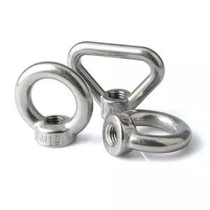 Din582 7/8"海洋の弓SS316装備の持ち上がる目のナット
