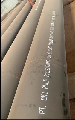 ステンレス鋼AISI/SATM 304の継ぎ目が無い管OD 10" Sch10s ASME B36.19M