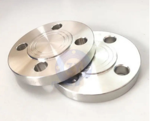 BLFLG-4-600-F51 -ブランク フランジ4