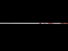 オーステナイトのステンレス鋼の管