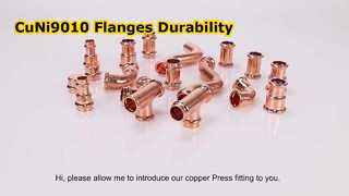 CuNi9010 フランジ鍛造鋼 RF 溶接