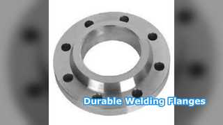 溶接ネックフランジ SS304 SS316 PN6